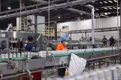 Workers operate a production chain at a plant in the Châu Đức Industrial Park, HCM City. (Photo: VNA)