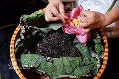 A craftsperson carefully separates Tay Ho lotus rice by hand to scent tea using traditional methods. Tay Ho lotus tea is among the products expected to be showcased at the Hanoi Beverage Festival 2026. (Photo: VNA)