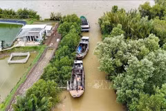 Fishing boats owned by fishermen in Long Huu commune, Tay Ninh province, are moored, awaiting procedures to be completed to meet requirements. (Photo: VNA)