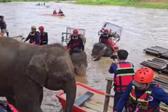 Elephants join flood rescue drill in northern Thailand (Photo: myanmaritv.com)