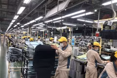 Workers in a production shift at Toyota Boshoku Hanoi (Photo: VNA)