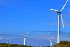 ADB, WB commit over 12 billion USD to ASEAN grid, renewables (Photo: adb.org) 