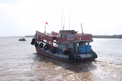All fishing vessels operating in Ca Mau must use the electronic catch documentation and traceability (eCDT) system when entering or leaving designated fishing ports. (Photo: VNA) 