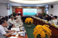 The August 26 meeting between representatives of the Vinh Long provincial People’s Committee, the Singaporean Embassy in Vietnam and Sembcorp (Photo: VNA)