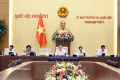 NA President Tran Thanh Man (centre) speaks at the meeting. (Photo: VNA)