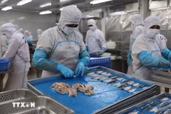 Aquatic products is processed at Ba Ria-Vung Tau Seafood Processing and Import-Export Joint Stock Company (Baseafood) in Ba Ria ward, Ho Chi Minh City. (Photo: VNA) 