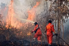Firefighters work to extinguish a wildfire on peatland in Rimba Panjang, Indonesia's Riau province, on July 20, 2025. (Photo: AFP/VNA) 