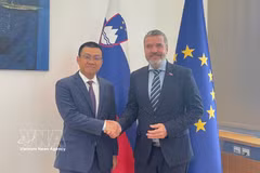 Vietnamese Ambassador to Austria and Slovenia Vu Le Thai Hoang (left) meets with Slovenian Minister of Foreign and European Affairs Tone Kajzer in Ljubljana on October 8, 2026. (Photo: VNA)