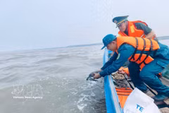 On September 14, the Tan An Commune Military Command, in coordination with Tam Giang Tay Border Guard Station, also releases a 3kg green turtle into its natural habitat. (Photo: VNA) 