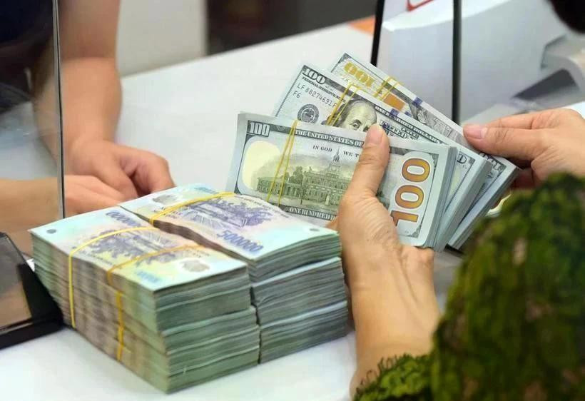 The State Bank of Vietnam set the daily reference exchange rate for the US dollar at 24,948 VND/USD on April 25. (Photo: VNA)
