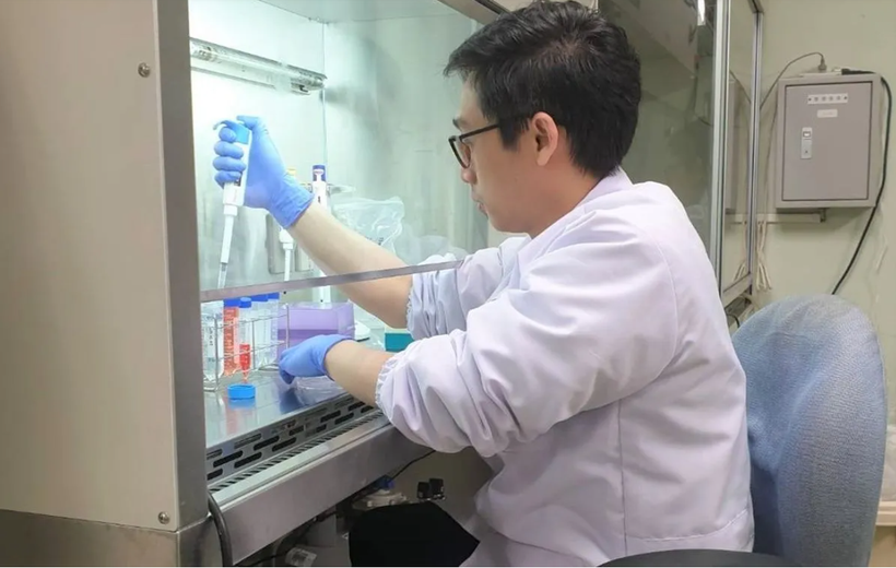 Dr. Rahmat Kurniawan at Sumatra Institute of Technology (Itera) conducts a research on compounds from mulberry plants in Bandar Lampung. (Photo: Antara)