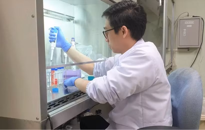 Dr. Rahmat Kurniawan at Sumatra Institute of Technology (Itera) conducts a research on compounds from mulberry plants in Bandar Lampung. (Photo: Antara)