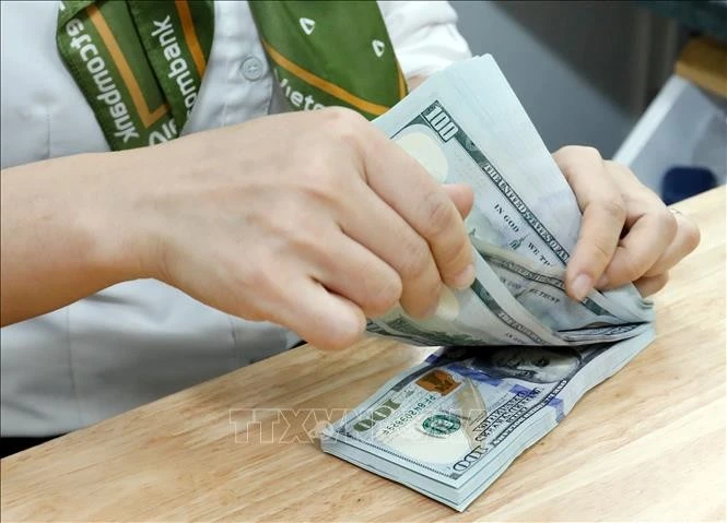 The daily reference exchange rate for the US dollar is set at 24,425 VND/USD on February 6. (Photo: VNA)