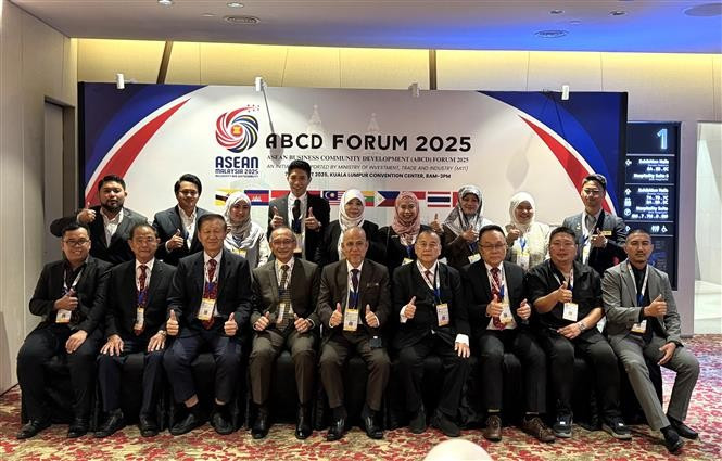 Representatives of Malaysian enterprises at 2025 ASEAN Business Community Development (ABCD) Forum (Photo: VNA)