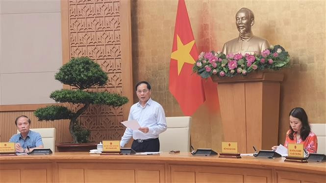 Deputy Prime Minister and Foreign Minister Bui Thanh Son (standing) speaks at the meeting. (Photo: VNA)
