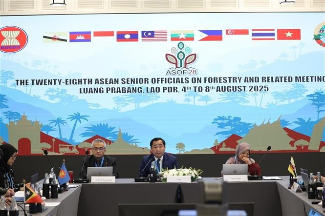 The 28th Meeting of ASEAN Senior Officials on Forestry (ASOF 28) is held in Luang Prabang, Laos. (Photo: VNA)