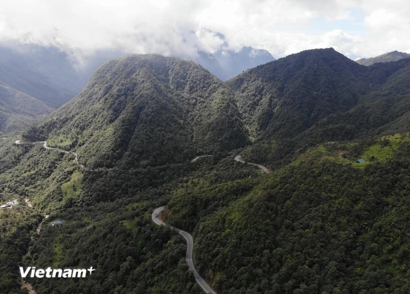 Vietnam and the EU have agreed to work together toward sustainable forest development. (Photo: VietnamPlus)