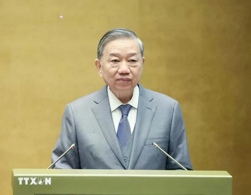 Party General Secretary To Lam speaks at the conference (Photo: VNA)