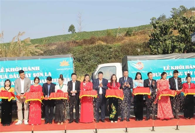 Delegates at the ceremony on February 12 which marks the transportation of strawberry grown in the northern province to serve on Vietnam Airlines flights. (Photo: VNA)