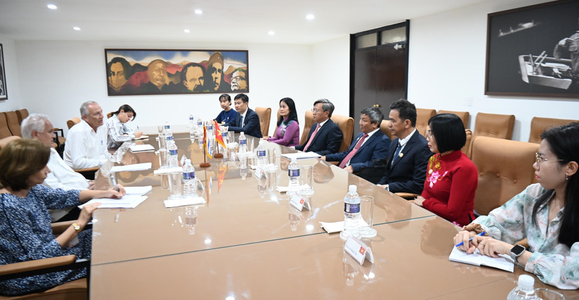 The delegation of the Dong Nai provincial Party Committee meets with Head of the Department for Foreign Affairs of the CPC Central Committee Emilio Lozada García. (Photo: VNA)