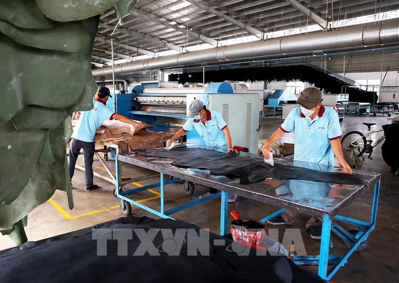 Workers produce shoe materials at a foreign-invested company in Binh Duong (now part of Ho Chi Minh City). (Photo: VNA)