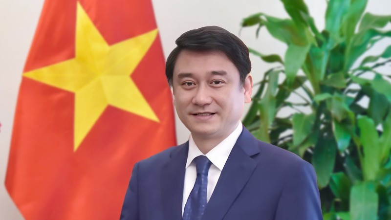 Deputy Foreign Minister Le Anh Tuan (Photo: VNA)