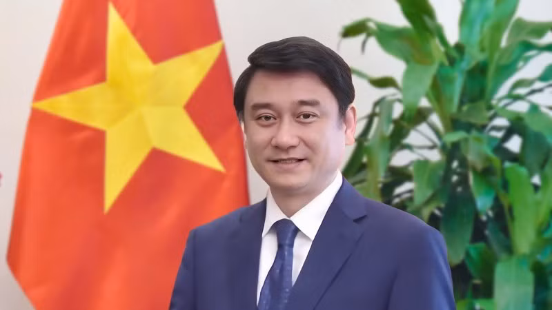 Deputy Foreign Minister Le Anh Tuan (Photo: VNA)