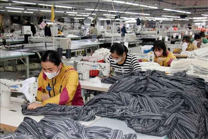Producing garments for export at Young-Longma Garment Company Limited. (Photo: VNA)