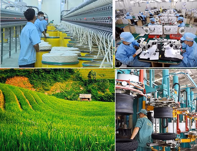 Illustrative image (Photo: baochinhphu.vn)