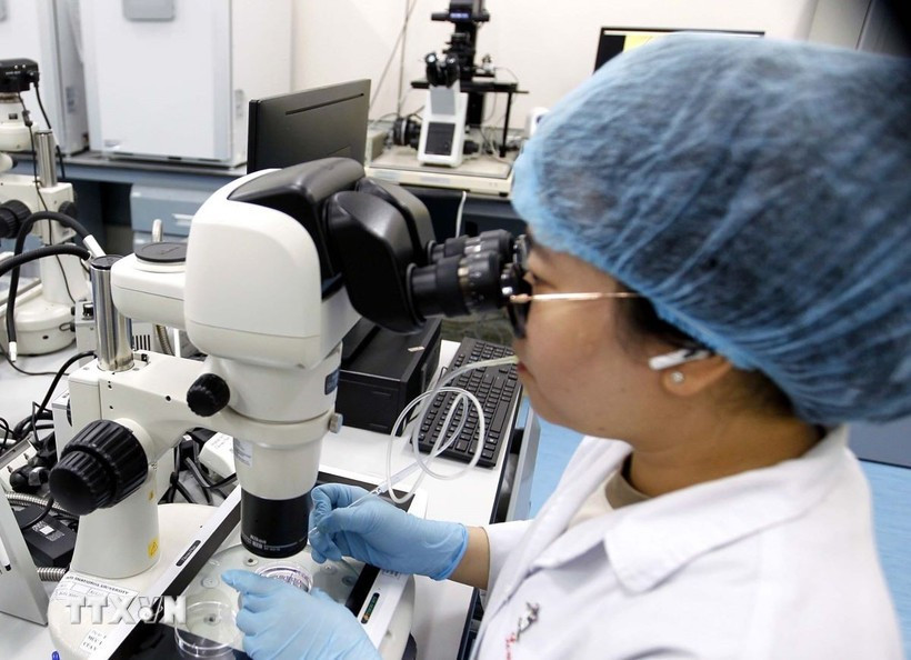 Experts may also qualify by being the author or co-author of an invention protected by intellectual property rights and applied in practice. (Photo: VNA)