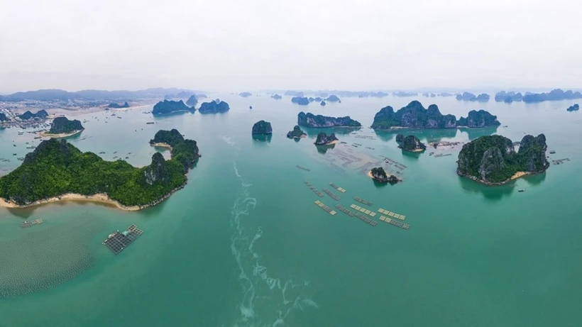 A view of Bai Tu Long Bay (Photo: baoquangninh.vn)