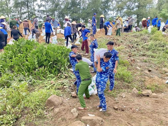Hundreds of people from the military, police, coast guard, and local people in Ha Tinh province are mobilised to reinforce the Hoi Thong dike before the Typhoon Kajiki. (Photo: VNA)