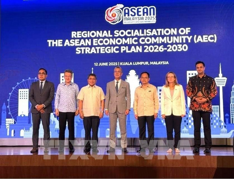 Through the ASEAN Economic Community Strategic Plan, ASEAN member countries aim to significantly enhance intra-regional trade by building greater resilience to external shocks and promoting the connectivity of the common market for goods, services and investment. (Photo: VNA)