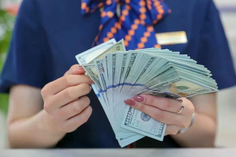 The daily reference exchange rate for the US dollar is set at 24,877 VND/USD on April 22. (Photo: VNA)
