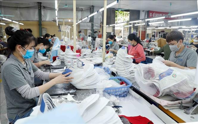Producing shoes for export to the EU at Truong Xuan footwear company in Hanoi. (Photo: VNA)