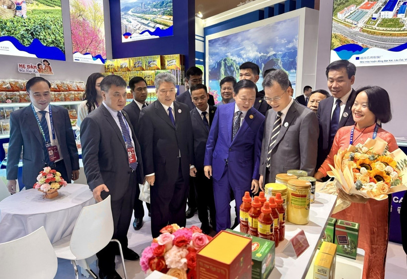 Deputy Prime Minister Tran Hong Ha visits a Vietnamese booth at the fair. (Photo: the Vietnam Trade Promotion Agency)