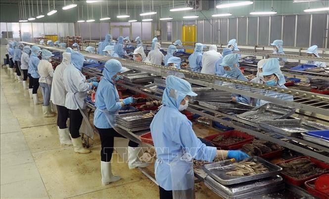 Processing canned fish for export (Photo: VNA)