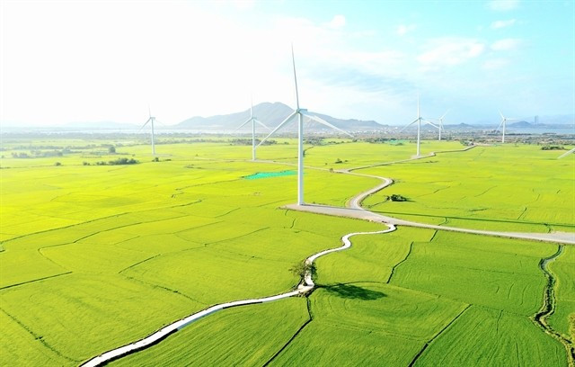 A wind farm in Ninh Thuan province. Vietnam plans to develop two regional services hubs for renewable energy (Photo: VNA)