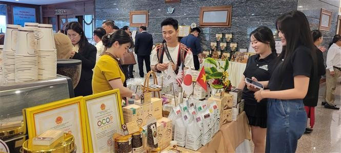 Delegates learn about key agricultural products of Gia Lai province. (Photo: VNA)