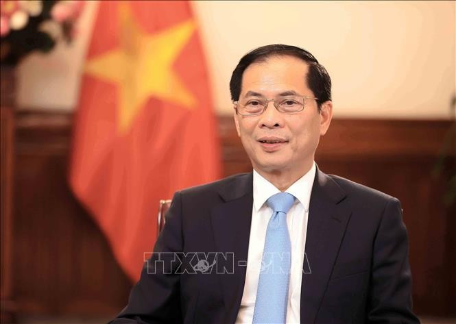 Deputy Prime Minister and Minister of Foreign Affairs Bui Thanh Son. (Photo: VNA)