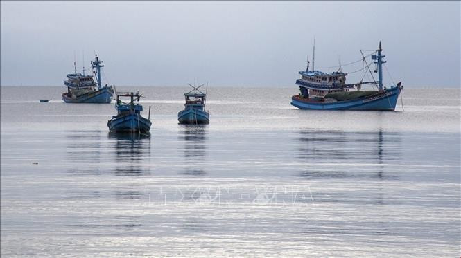 Fishermen's fishing boats anchored in the waters of Phu Quoc Special Economic Zone, An Giang province (Photo: VNA)