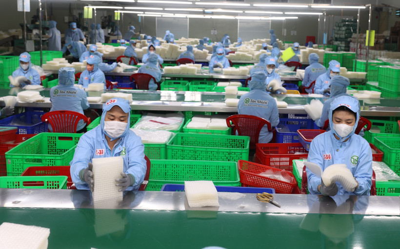 Workers sort rice papers at Tan Nhien Co. Ltd. in Tay Ninh province. (Photo: VNA)