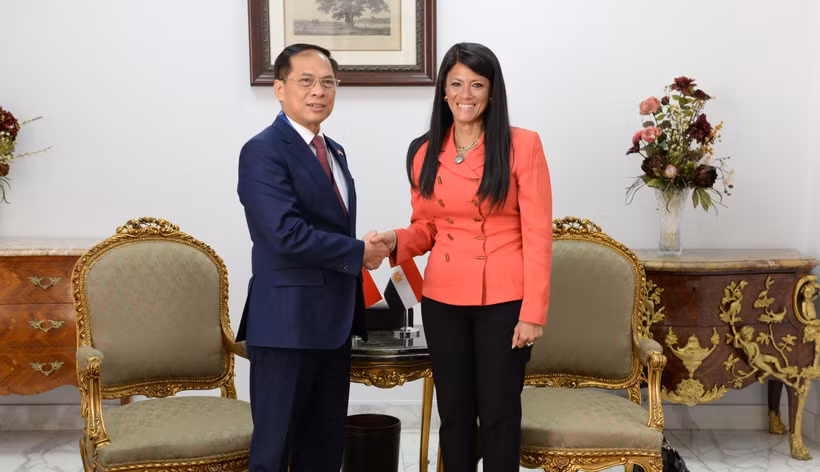 Deputy Prime Minister and Minister of Foreign Affairs Bui Thanh Son on August 5 meets with Egyptian Minister of Planning, Economic Development and International Cooperation Rania A. Al-Mashat. (Photo: VNA)