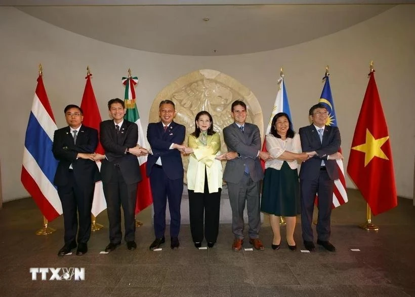 ASEAN Ambassadors to Mexico take a group photo with Mexican Undersecretary of Foreign Affairs María Teresa Mercado (centre) (Photo: VNA)