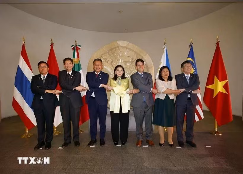 ASEAN Ambassadors to Mexico take a group photo with Mexican Undersecretary of Foreign Affairs María Teresa Mercado (centre) (Photo: VNA)