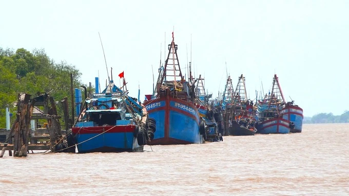 Fishing vessels in the Mekong Delta province of Ben Tre (Photo: nongnghiep.vn)