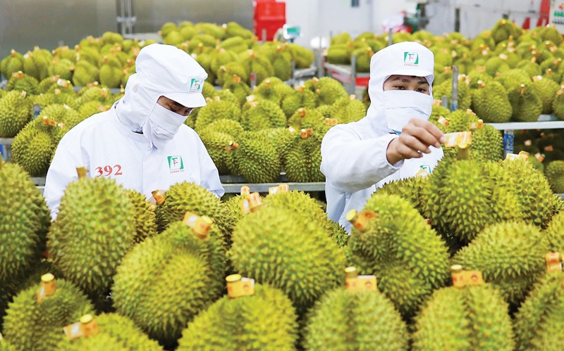 Illustrative photo (Photo: vneconomy.vn)