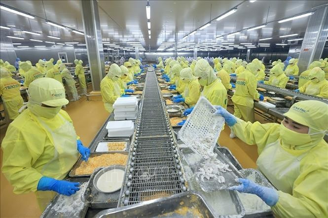 Shrimp processing for export (Photo: VNA)