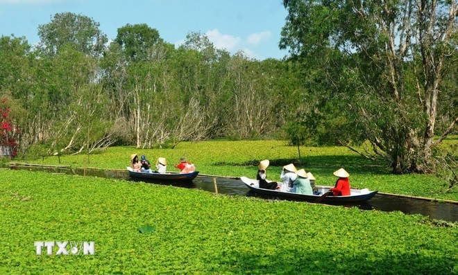 Tourists visit Tra Su forest in Tinh Bien township, the southern province of An Giang. (Photo: VNA)