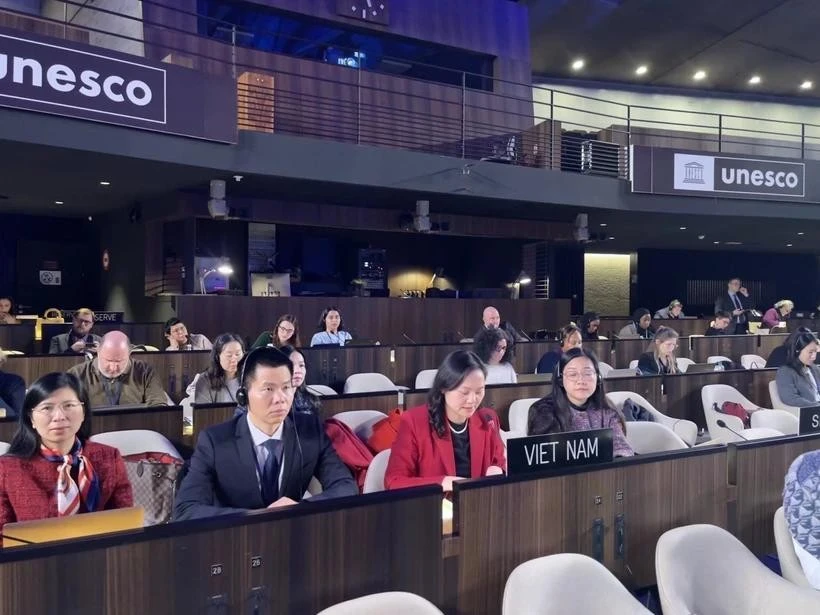 Vietnamese delegates attends the 18th session of the Intergovernmental Committee of the 2005 UNESCO Convention on the Protection and Promotion of the Diversity of Cultural Expressions (2005 Convention) in Paris on February 11, 2025. (Photo: VNA)